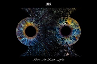 iris-portraits-love-at-first-sight